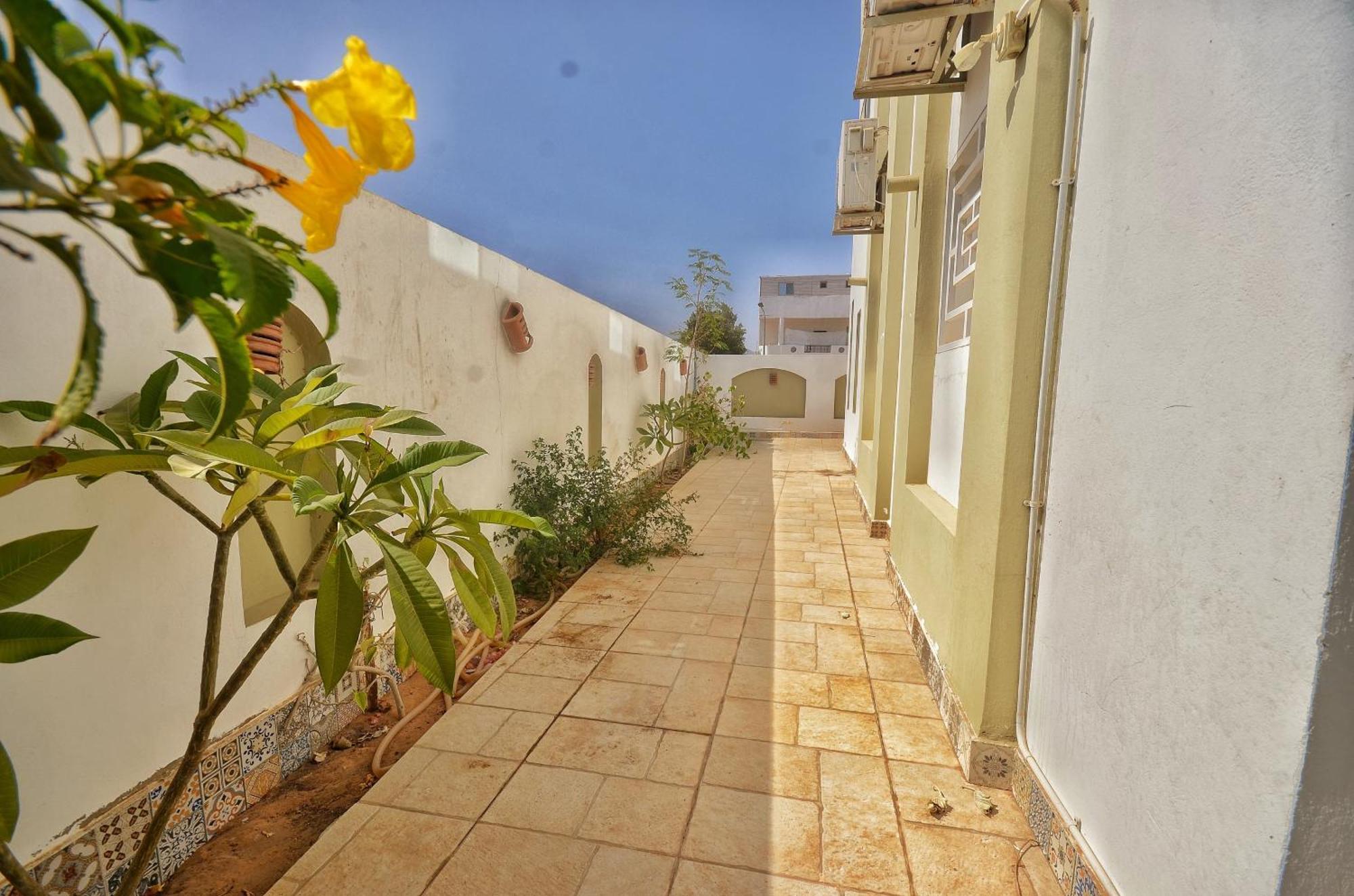 Elite Residence Dahab Eksteriør billede