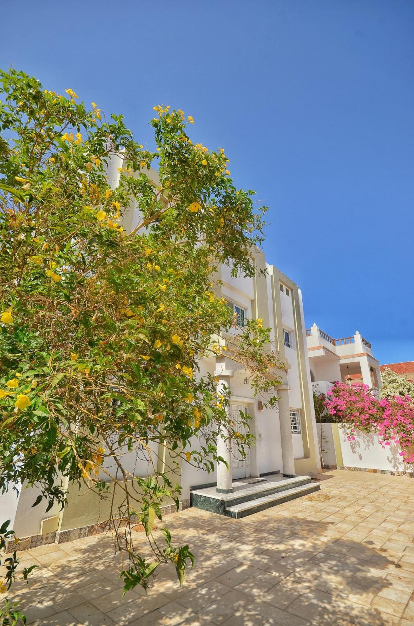 Elite Residence Dahab Eksteriør billede