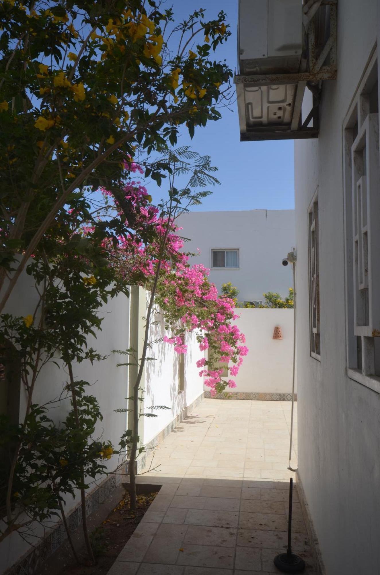 Elite Residence Dahab Eksteriør billede